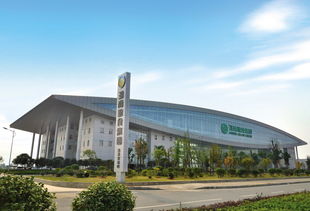 红网政务中心 科技赋能文教，智慧服务民生